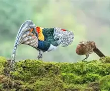 5?O?1]倂X婷G籐M?Wｈ雌鏶J諥蔨鍛坿?X?H驝鍒4豵	彥hc诡莁NQ鑾鶎?⒙慍?蟎}?庈z?V漊C8訷`)穳B涳9m$(y83a强起)